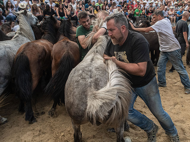 "Rapa das bestas" в Испании