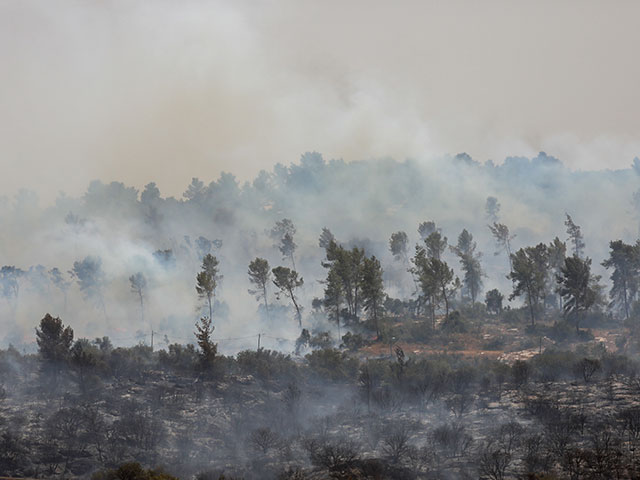 Последствия пожаров в день летнего хамсина в Израиле