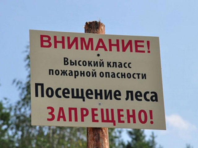 В России горит миллион гектаров леса: разрешено не тушить пожары