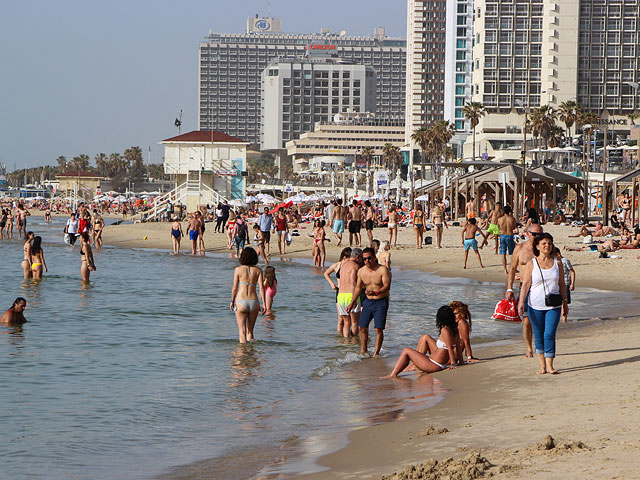 Завершается "сезон медуз" около средиземноморского побережья Израиля  