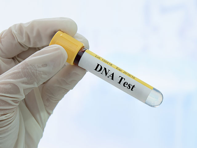 Госпрокуратура поддерживает требование ДНК-тестов для подтверждения еврейства
