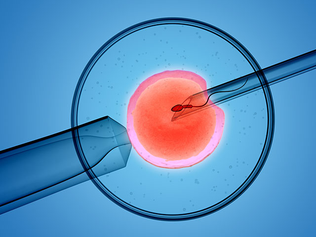 Рожденные с помощью искусственного оплодотворения и донорства спермы требуют отмены анонимности доноров