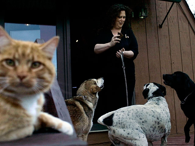Итан Цукерман: почему в интернете на смену кошкам пришли собаки