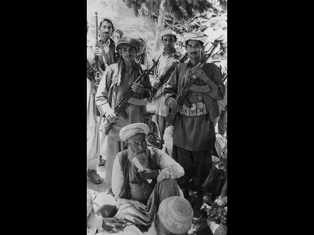 Группа вооруженных афганских партизан, 1980 год