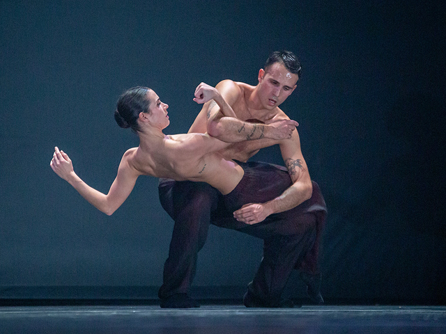 Танцевальные спектакли Aterballetto в Израиле. Фоторепортаж