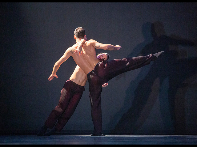 Танцевальные спектакли Aterballetto в Израиле. Фоторепортаж