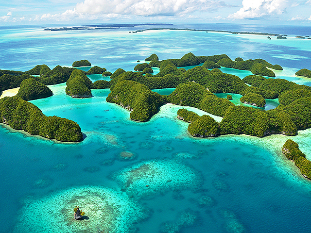 Палау  первой в мире запретила солнцезащитные кремы, убивающие кораллов и рыб