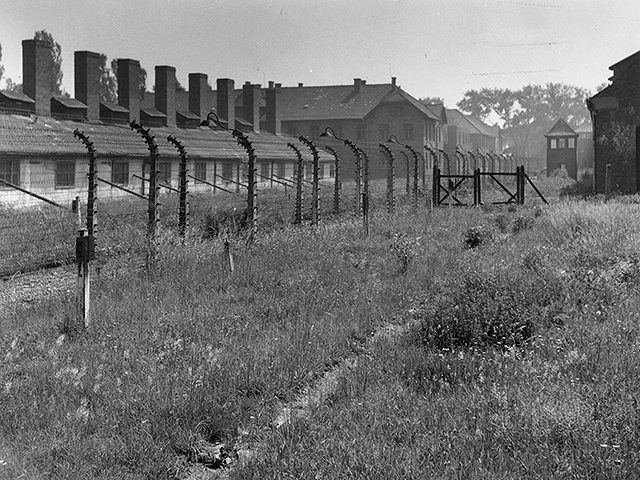Забор из колючей проволоки, окружающий часть концентрационного лагеря Освенцим