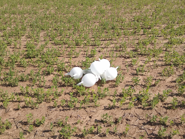 В районе Сдерота и районного совета Мерхавим обнаружены связка воздушных шаров из Газы