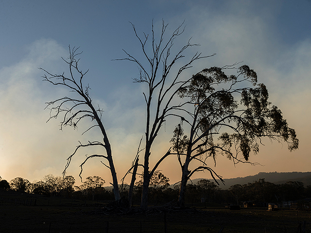 В Новом Южном Уэльсе потушены лесные пожары, продолжавшиеся с июля