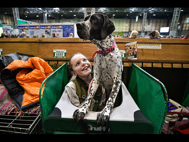 Crufts Dog Show 2020: собаки со всего мира на выставке в Бирменгеме. Фоторепортаж