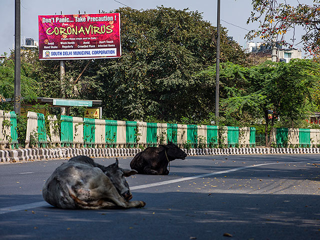 Нью-Дели: три дня в марте на фоне коронавируса. Фоторепортаж