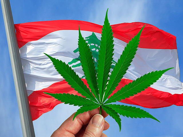 Ливан легализует выращивание конопли