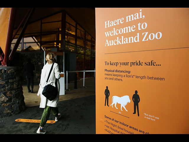 Дистанция "один лев": в Окленде открылся зоопарк. Фоторепортаж