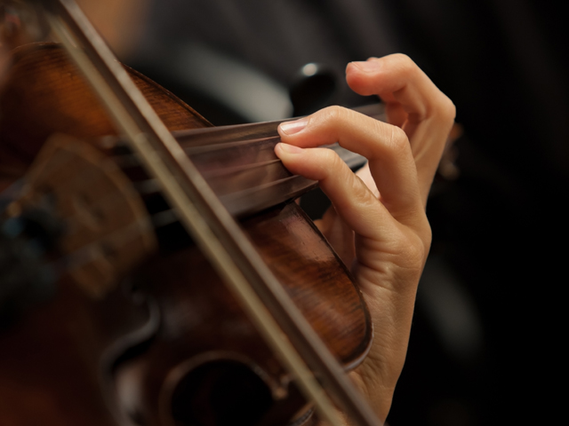 Американка написала книгу о том, как работала скрипачкой в "фейковом оркестре"