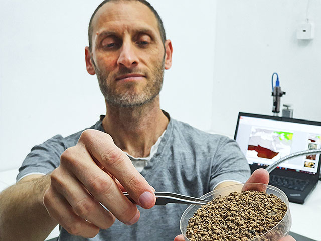 Доктор Лиор Висброд с крошечными окаменелостями грызунов из раскопок