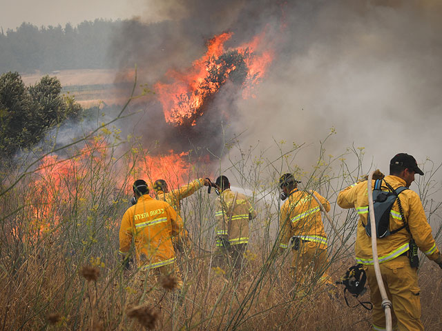 В тушении пожара возле поселка Оранит вместе с пожарными участвуют добровольцы