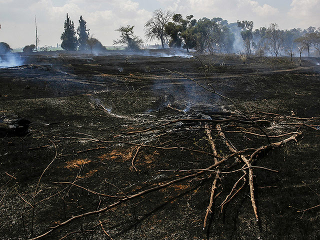 За сутки "огненным террором" уничтожены 300 дунамов растительности на границе с Газой