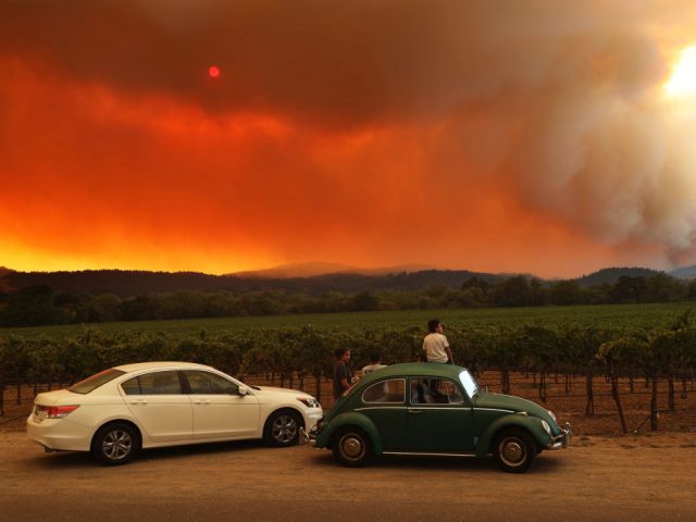 Пожары в Калифорнии: огнем охвачены более 300000 гектаров леса