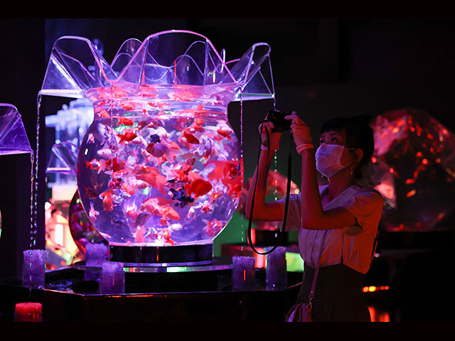 В Токио открывается Арт-аквариум