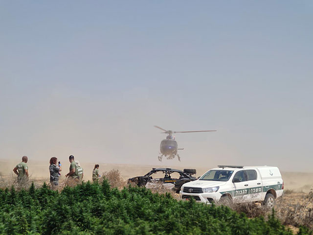 Пограничники с помощью вертолета нашли в пустыне 23 теплицы с марихуаной