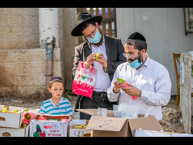 Суккот в "коронавирусный" год. Фоторепортаж из Израиля