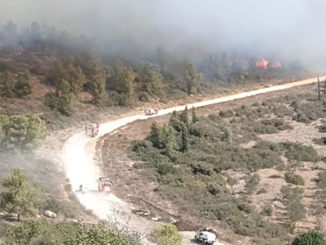 Пожары в Израиле на фоне сухой и жаркой погоды, причинен значительный ущерб