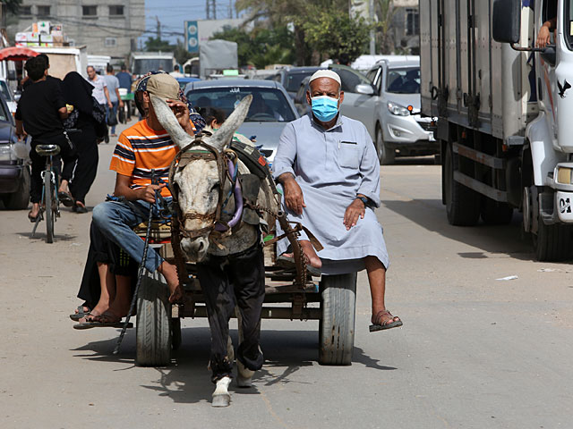 Коронавирус в Палестинской автономии: за сутки выявлены более 500 новых случаев заражения, шесть больных умерли