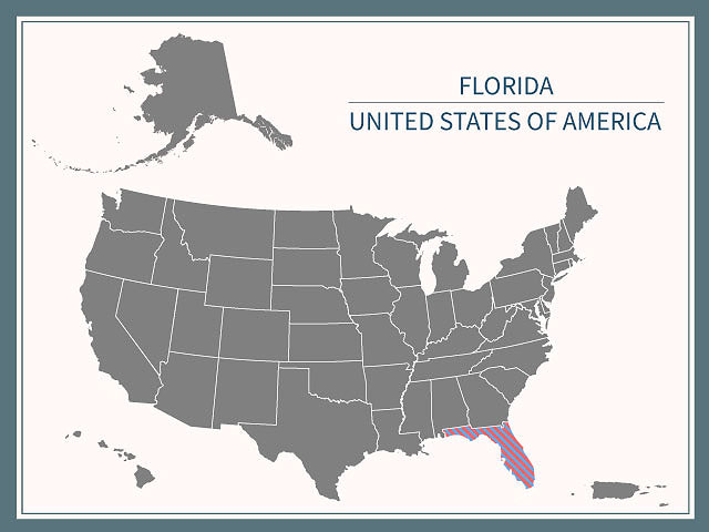 Во Флориде подсчитаны более 80% голосов