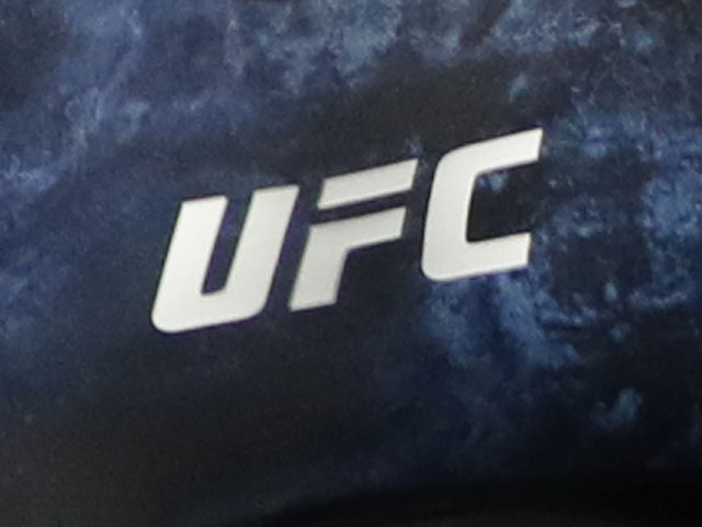 Спортсменка UFC продемонстрировала эротическую фотографию с елочкой