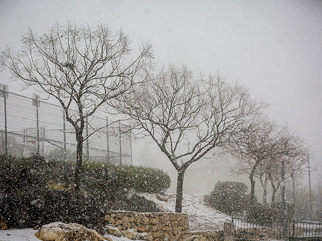 Снегопад во время зимней бури в Израиле. Фоторепортаж