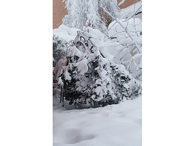Кибуц Эльром