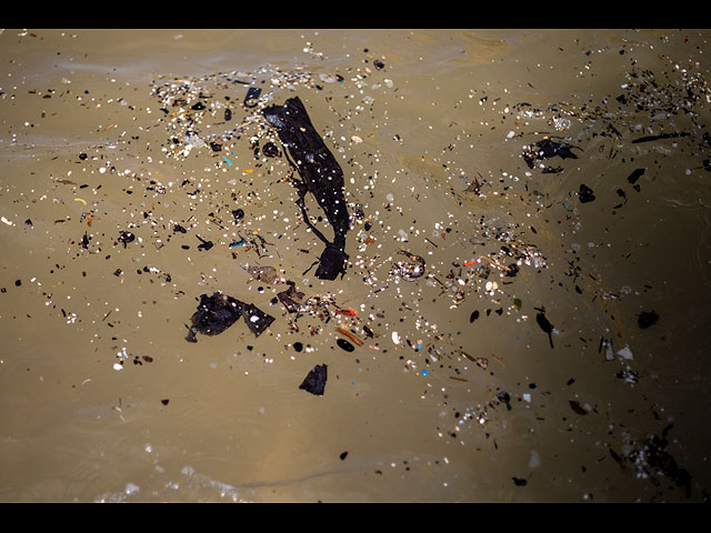 Экологическая катастрофа на побережье Израиля. Фоторепортаж