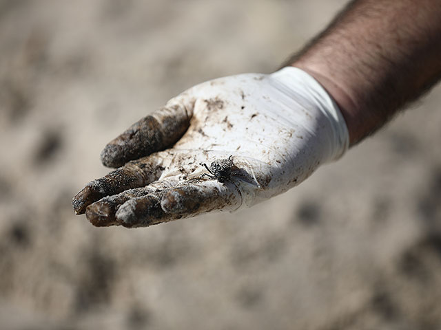 Военные и добровольцы очищают пляжи Израиля от мазута. Фоторепортаж