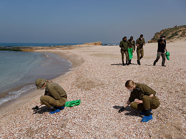 Военные и добровольцы очищают пляжи Израиля от мазута. Фоторепортаж