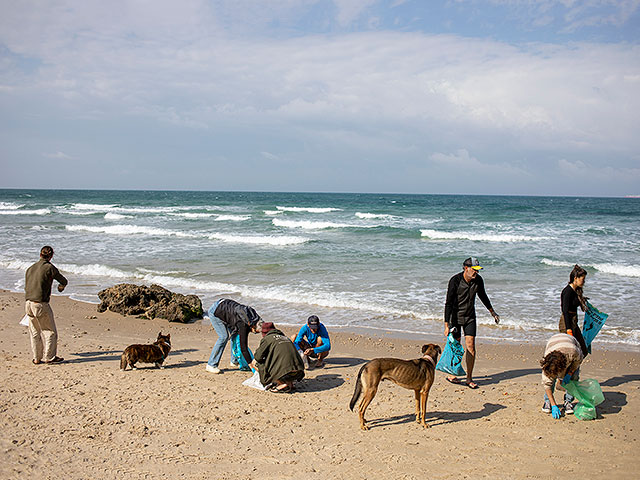 Продолжается расчистка пляжей Израиля от нефтепродуктов. Фоторепортаж