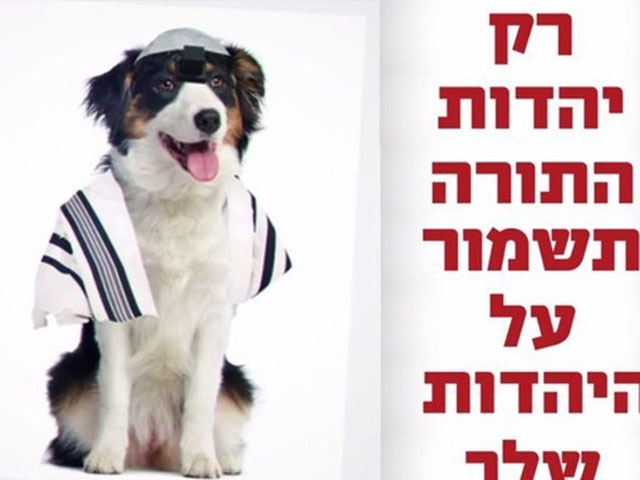 "Яадут а-Тора" выпустили ролик с собакой, проходящей реформистскую бар-мицву; Facebook снял ролик со страницы партии