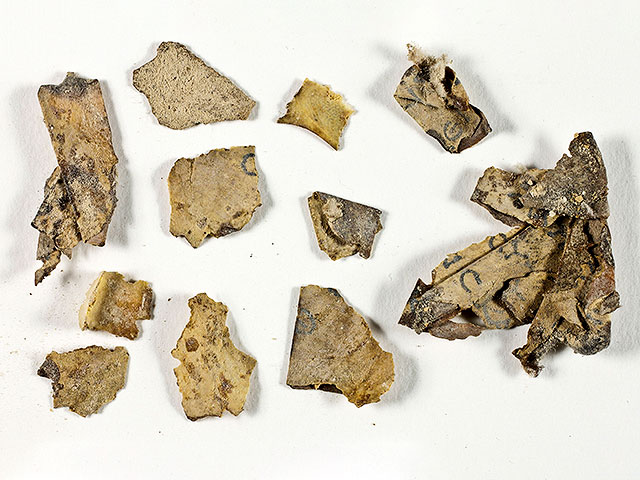 Фрагменты свитков перед консервацией в управлении древностей Израиля