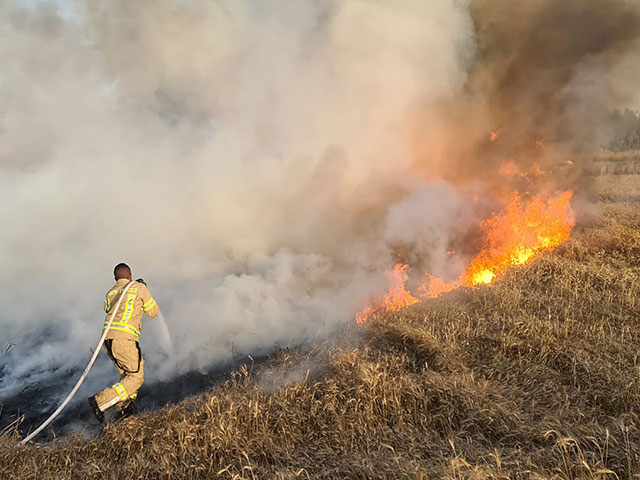 На границе с сектором Газы вспыхнули не менее 20 пожаров из-за "огненных шаров"