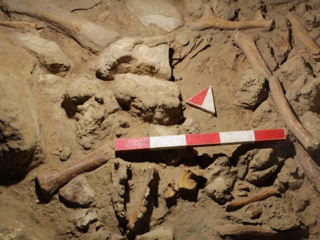 Homo Nesher Ramla: израильские ученые нашли новое звено в истории эволюции человека
