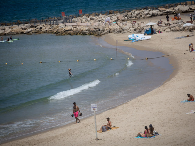 На средиземноморском побережье Израиля завершился "сезон медуз"