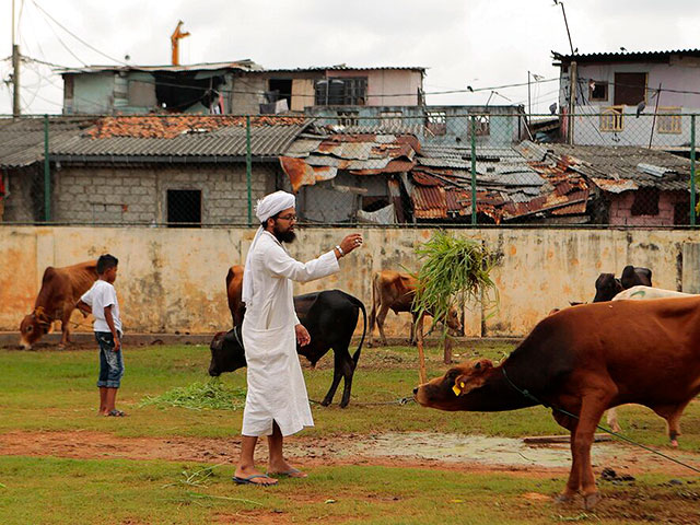 На Шри-Ланке обнаружен крупнейший сапфир в мире