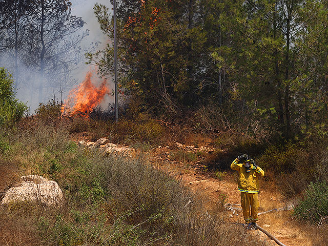 Лесной пожар около поселка Шореш, 3 августа 2021 года