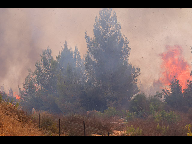 Лесной пожар около поселка Шореш, 3 августа 2021 года