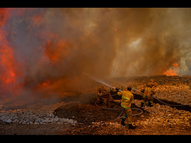Лесной пожар около поселка Шореш. Фоторепортаж