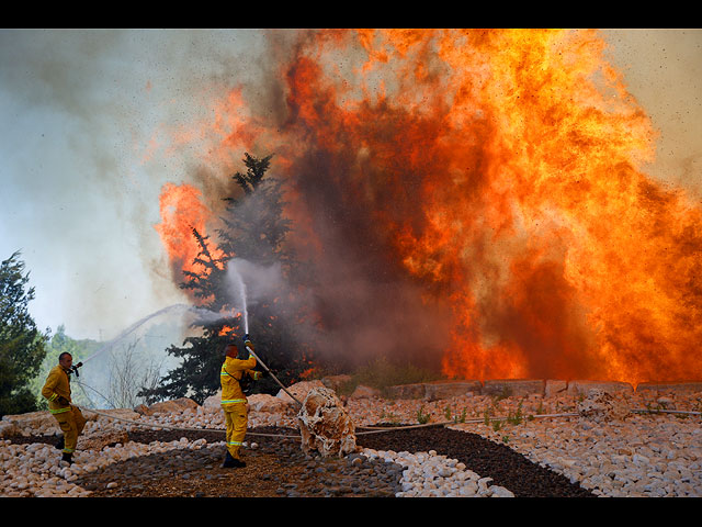 Лесной пожар около поселка Шореш. Фоторепортаж