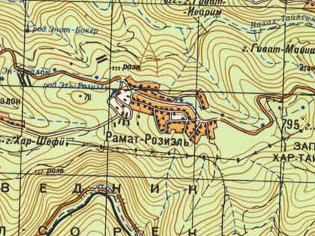 В поселке Рамат-Разиэль горят жилые дома