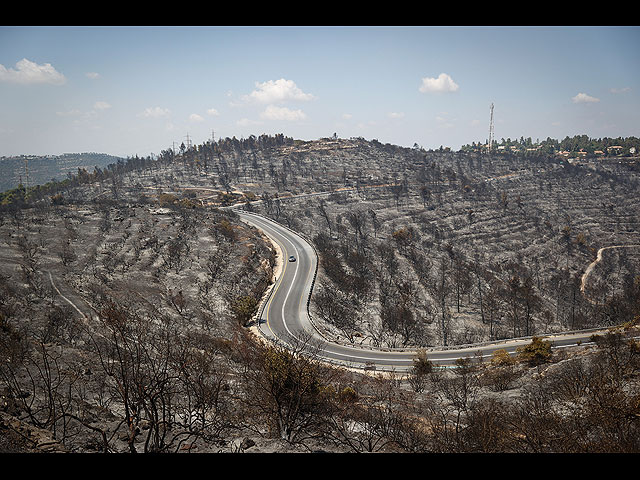Тушение лесных пожаров в Иерусалимских горах. Фоторепортаж