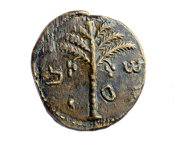 Монета с изображением пальмы и именем Шимона