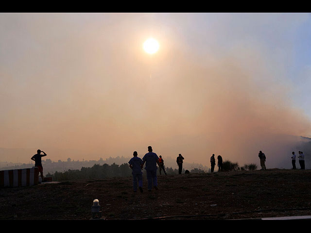 Пожары под Иерусалимом: уничтожены фабрика арф и винодельня. Фоторепортаж